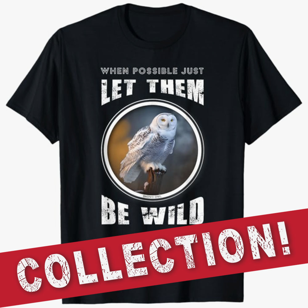 A black T-shirt features a snowy owl with the message “When possible just let them be wild,” promoting a wildlife-themed collection.